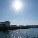 キラキラした海面