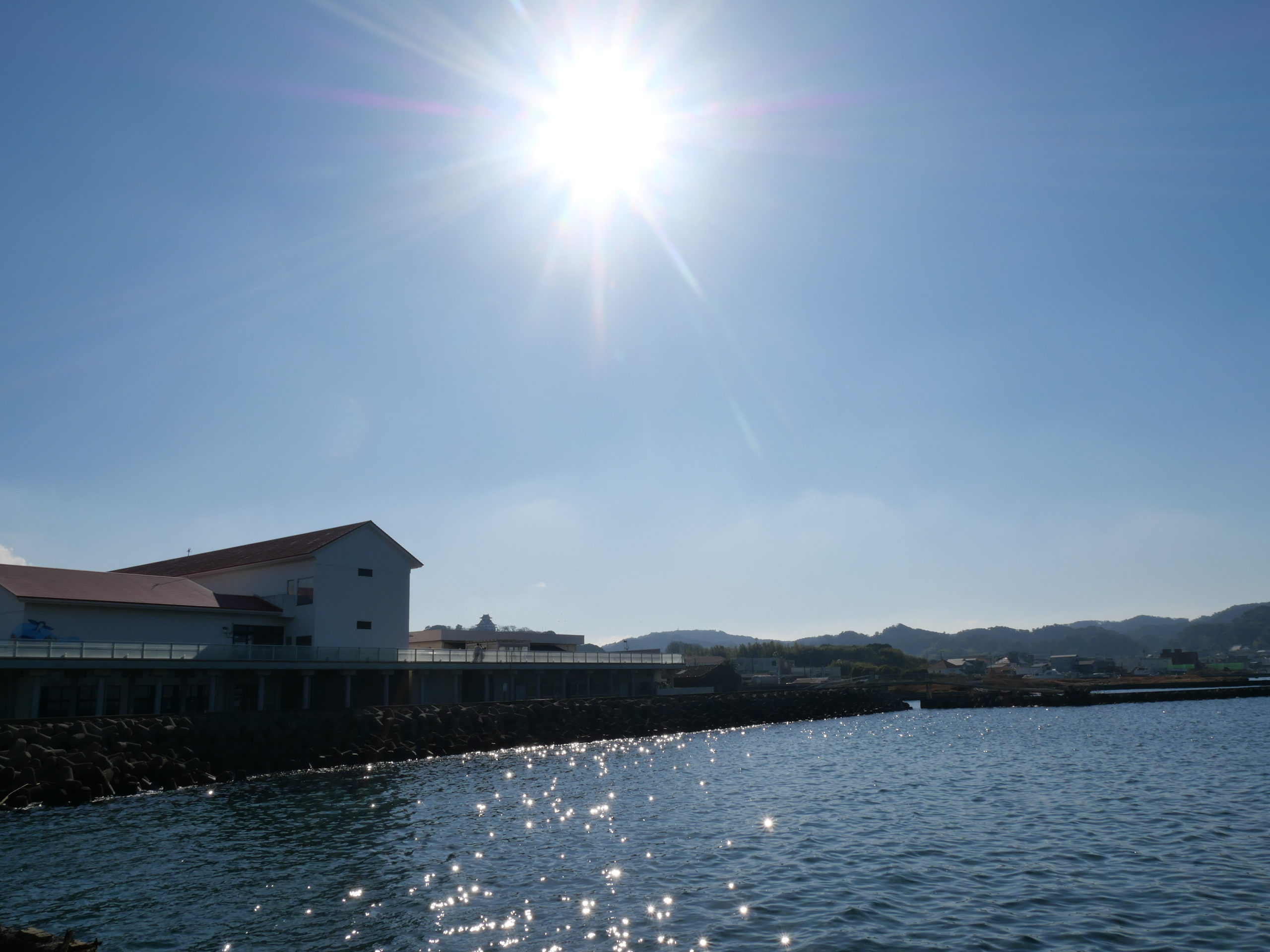 キラキラした海面